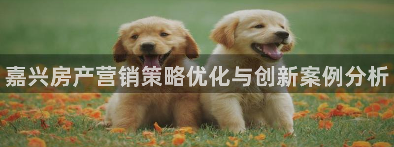 必赢平台网站多少