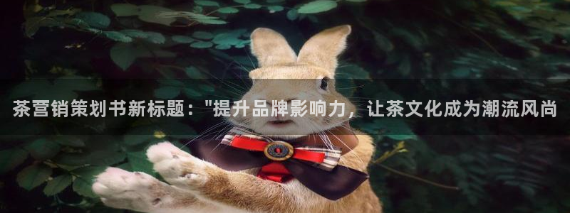 必赢516net怎么进