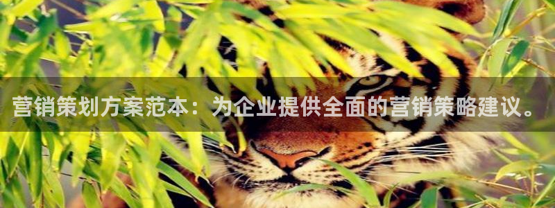 必赢国际游戏登录
