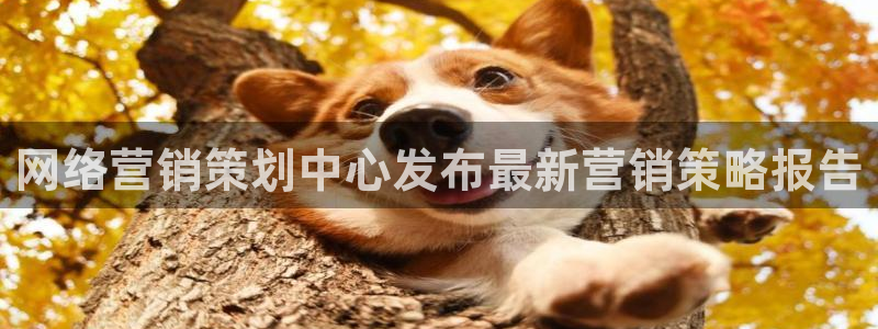 必赢app能挣钱吗