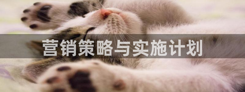 必赢516net怎么进