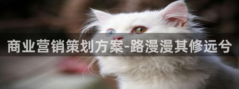 必赢平台官方下载
