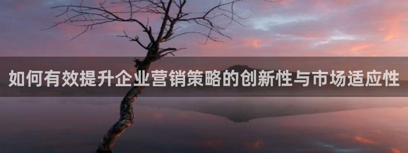 必赢官网网址多少号登录