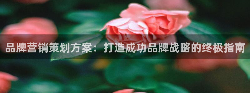 必赢宝是不是合法平台