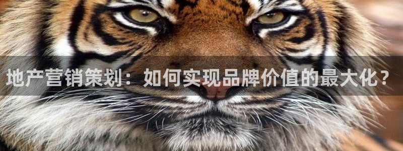 必赢3003网官