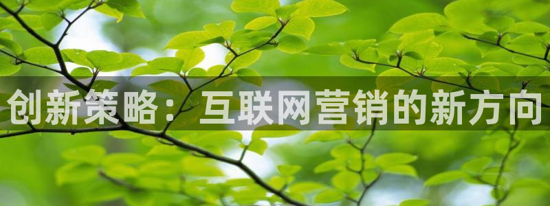 必赢国际437a