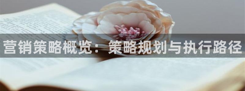 必赢国际的网站多少
