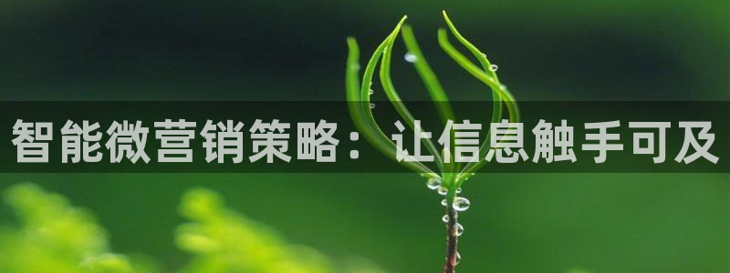 亚洲必赢官网