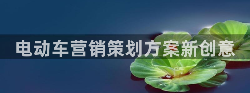 9965必赢棋官方网站怎么样