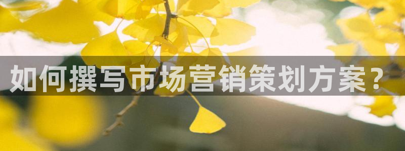 必赢公司