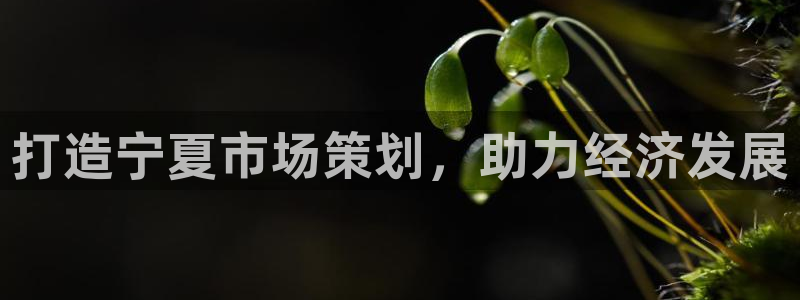 必赢官网app下载安装最新版本