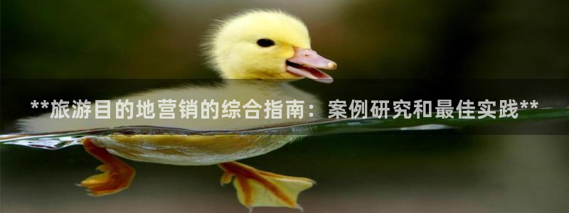 必赢下载地址