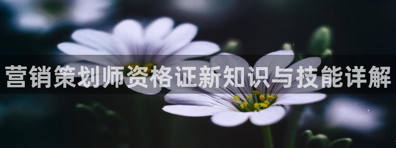 必赢官网app下载安装手机版最新版