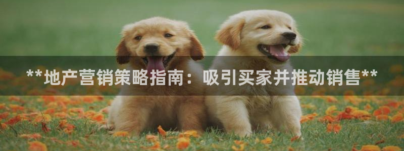 必赢科技有限公司