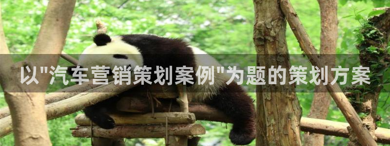 必赢最新消息