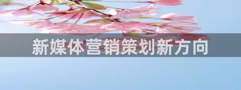 必赢官网app下载安装最新版本