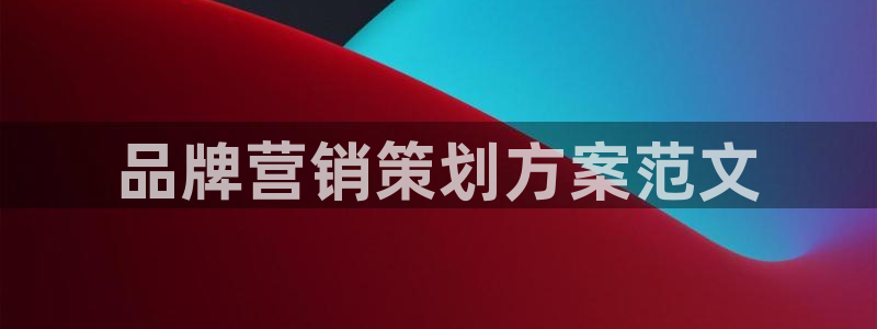 必赢科技有限公司