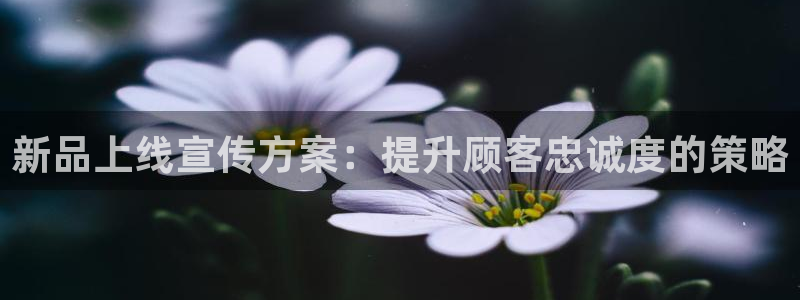 必赢网站