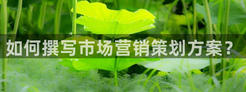 必赢最新网页