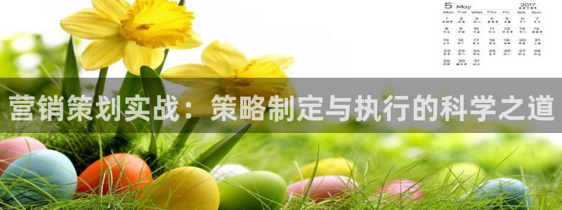 必赢棋盘官网版