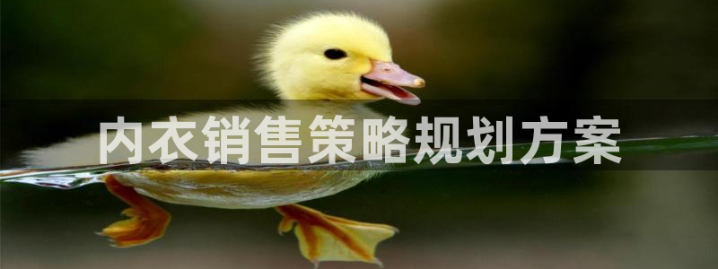 必赢活动安卓下载app