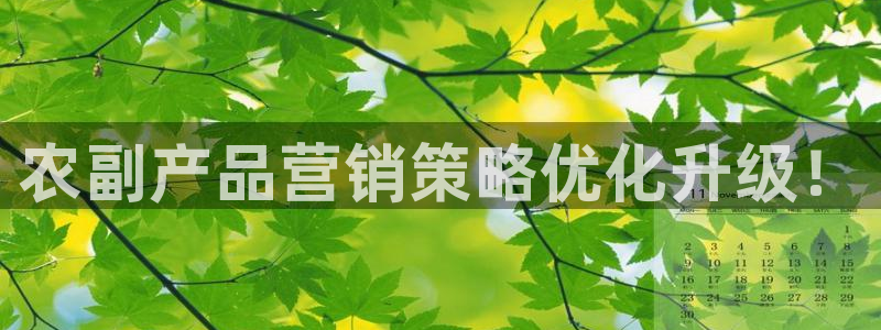 必赢国际游戏登录