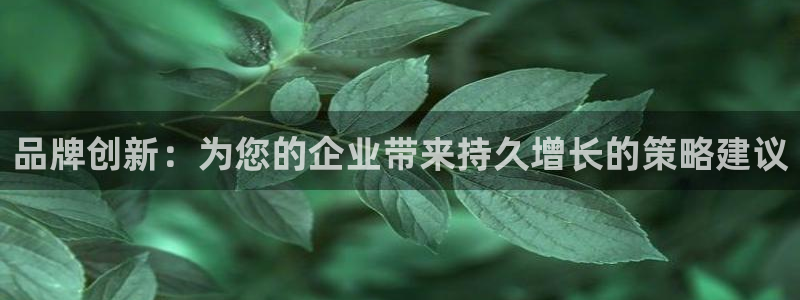 必赢国际437官方