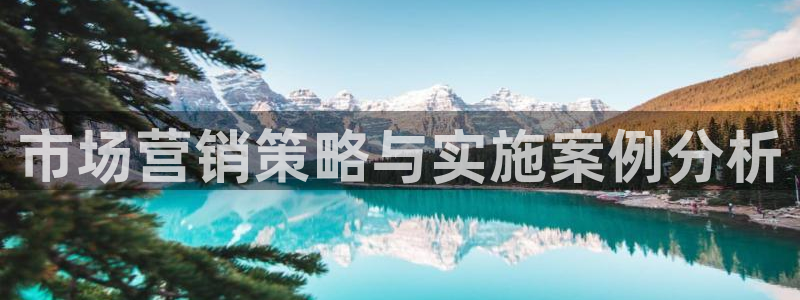 必赢国际437