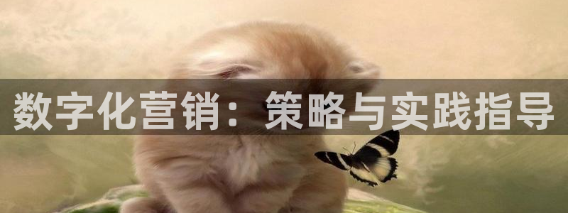 必赢亚赢网站官网下载