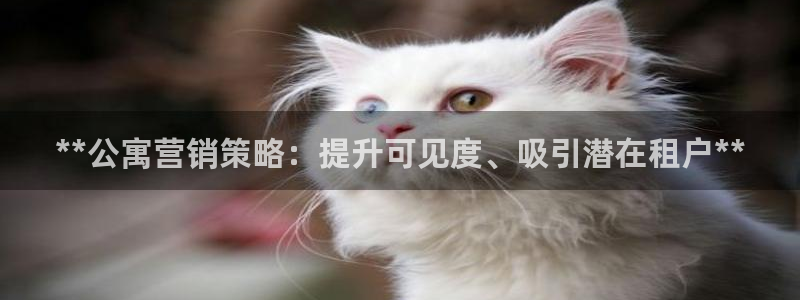 必赢集团菲律宾
