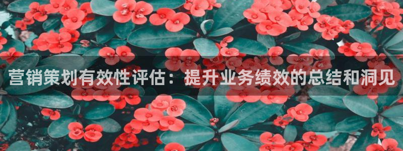 必赢线上网址是多少