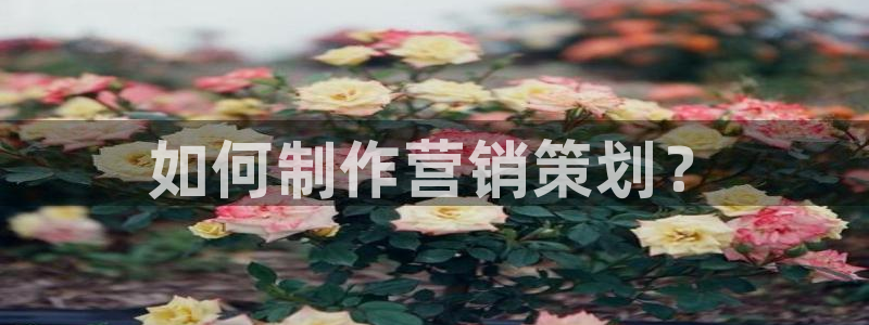 必赢下载二维码