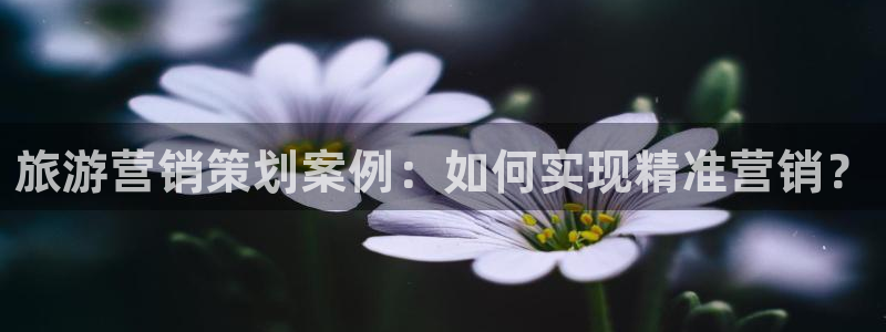 必赢官网