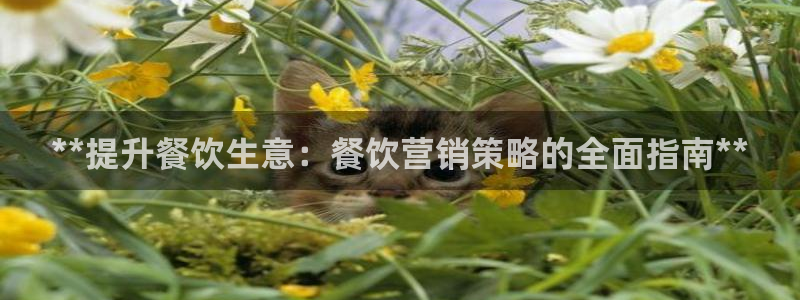 必赢平台官方网址