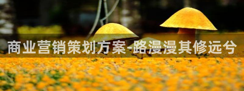 必赢链接