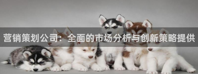 必赢手机app下载安装最新版