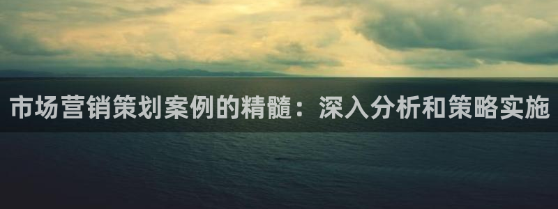必赢手机app下载安装
