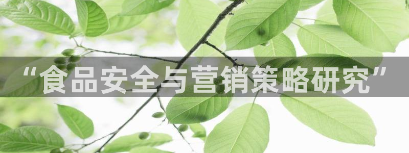 95必赢网址多少