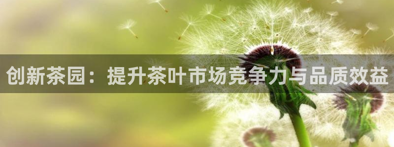 必赢官网下载安装