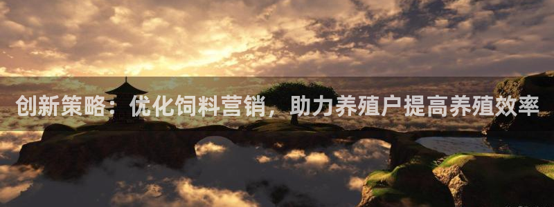 必赢科技北京有限公司