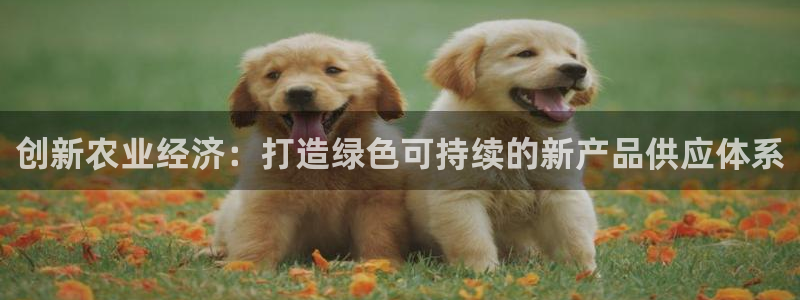 必赢这个软件怎么样