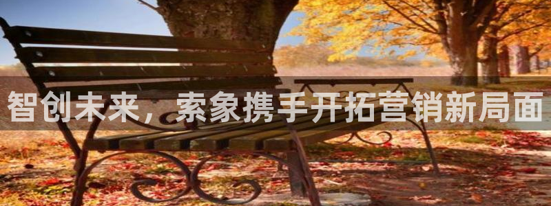 必赢网站打不开