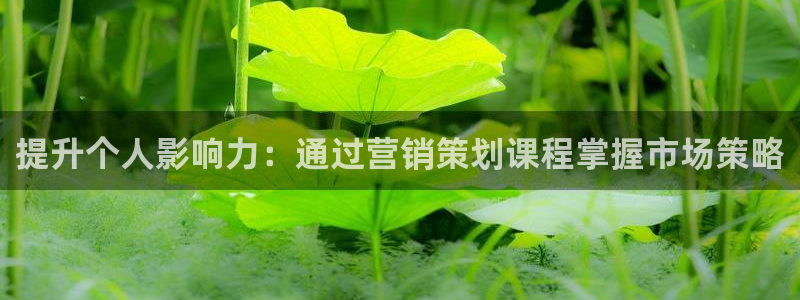 必赢网站