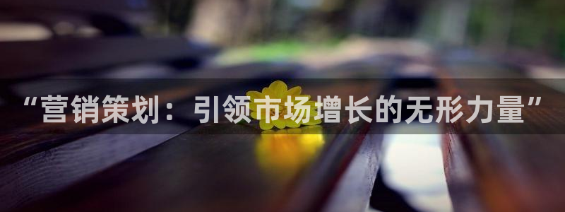 必赢net.95