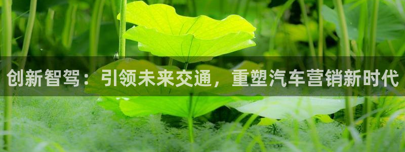必赢客安卓版