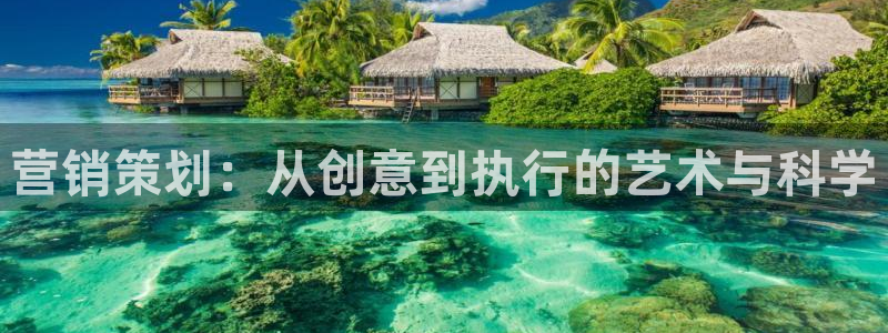 必赢565net官网