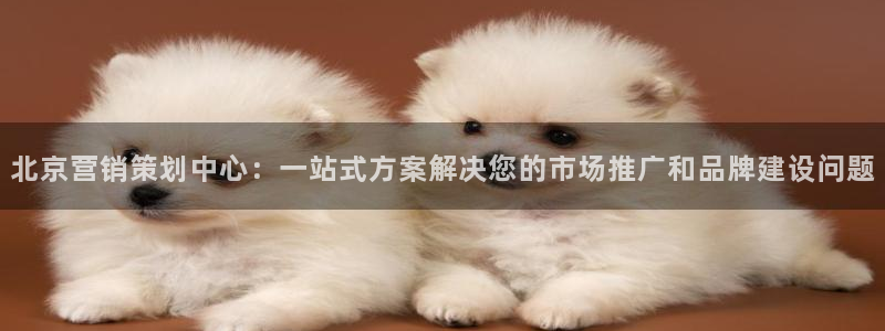 56.nt必赢官网