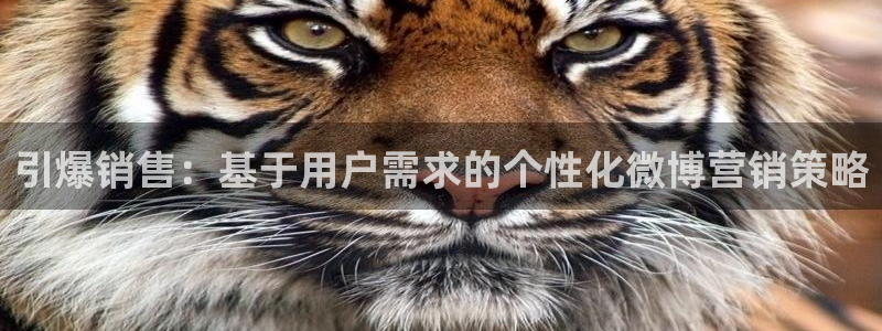 必赢官网app下载安装：引爆销