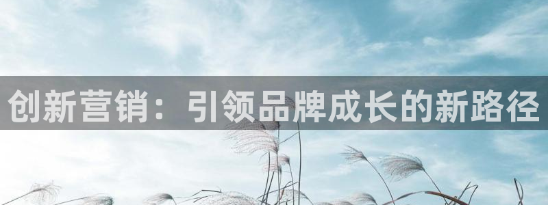 必赢棋盘app下载