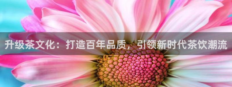 必赢用户登录：升级茶文化：打造
